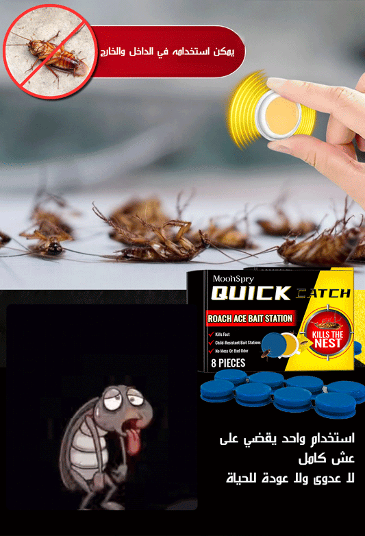 الحل الفعال للصراصير و ابو بريص و كل الحشرات المزعجة
